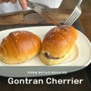 GONTRAN CHERRIER 이미지