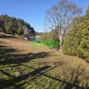 강릉농협주유소 이미지