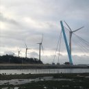 석양풍경 | 타이중 고미습지 석양 후기｜대만의 우유니사막이라 불리는 이유