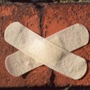 멍멍아 까꿍 이미지