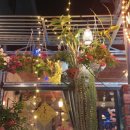 비치스파랜드 이미지