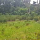 굿마루농장 이미지