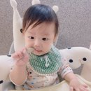 미르중기 이미지