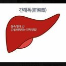 하나통합의원 Daum카페