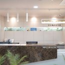 구구플란트치과의원 이미지