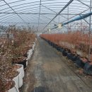 참살이농장 이미지