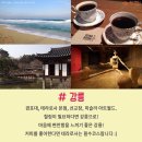코발트나인