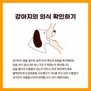 피자프라텔로 이미지