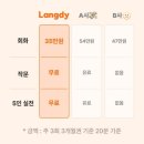 [비즈니스 패턴 영어] 틀리지 않고 쓰는 Biz Email | 영어 스피킹 전화영어 랭디 솔직한 수업 후기