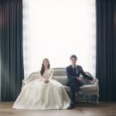 비니비치 이미지