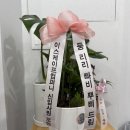 [수원방탈출] 이스케이프월드 - 이스케이프 컴퍼니 Escape Company : 수원에 이런 맛도리문제방이...