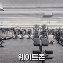 피트니스 타운 이미지