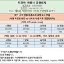 코아항공여행사