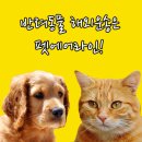 펫에어라인