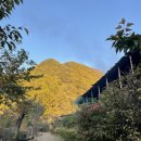 하늘채 펜션 이미지