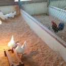 게임잉글리쉬 이미지