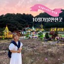 반딧불언덕펜션 | 10월 서울근교 가볼만한곳 황홀한 핑크뮬리와 산타마을 핑크반딧불