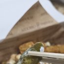 오너치킨 | 푸라닭 신메뉴 안성재 셰프 콜라보 마요피뇨 치킨 후기