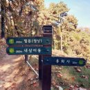 용화사 | 🏔️ [동탄 가볼 만한 곳] 필봉산 &amp; 용화사 사찰 등산 코스 후기 — 중년 건강, 데이트, 가족 나들이 추천...