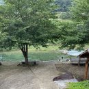 풀빛다락 이미지