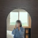 스테이올라 이미지