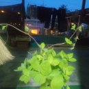 덕수니네 이미지