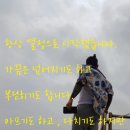 행복한 세차나라