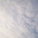 인계세차장 이미지