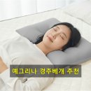 예그리나 푹잠 경추베개 낮은 숙면 거북목 일자목 목디스크 편한 베개 4060 사용기