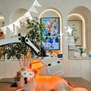 청아동물병원 이미지