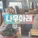 [제주도] 나무아래 _ 나무향기가 좋은 제주 성산읍 공방카페