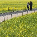낙동강변16 연합뉴스