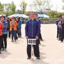 내기초등학교 이미지