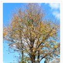 문경세재 이미지