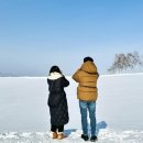 2023-01-0222 | 일본 홋카이도 삿포로 비에이 후라노 3박 4일 _ 여행 3일차(1) (비에이 후라노 버스투어 / 스나가와...