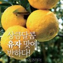 유자 이미지