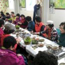 엉게나무 이미지