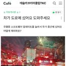 어제자 테슬라 카페글 레전드 이미지