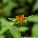 동자목장 이미지