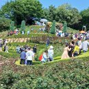 도당공원 이미지