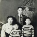 김치파이브 이미지