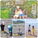 2024 봄의왈츠 | 남해 가볼만한곳 경남 1박2일 숙박 볼거리 먹거리 까지