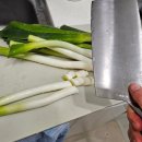 [후기] 리빙스토리 코지 올스텐 칼세트🔪