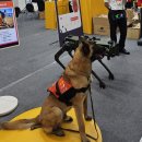 대찬산업 | [코리아세이프티(주)] 2024 대구 엑스코 제 20회 국제소방안전 박람회 참가 후기