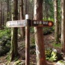 솔오름주차장 이미지