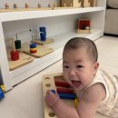 6개월인데 니엔후이스 몬테소리 교구를 샀습니다 🧩 키즈에이원 베이비페어 내돈내산 후기