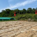 창녕군도천면논리보건진료소 이미지