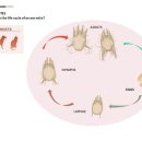 이루다 동물병원 이미지