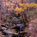 수원-2007 이미지