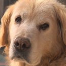 광희농장 이미지